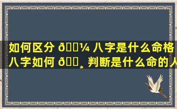 如何区分 🐼 八字是什么命格「八字如何 🌸 判断是什么命的人」